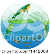 Poster, Art Print Of Life Cycle Of A Frog With Eggs Tadpoles And A Leaping Adult