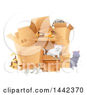 Poster, Art Print Of Group Of Cats Playing In Boxes