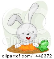 Poster, Art Print Of Happy Rabbit Eating A Carrot