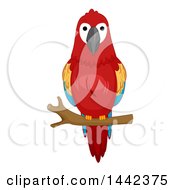 Poster, Art Print Of Scarlet Macaw On A Branch