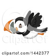 Poster, Art Print Of Cute Flying Puffin Bird