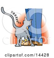 Poster, Art Print Of Cute Gray Cat Purring And Rubbing On A Persons Legs