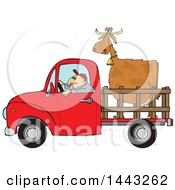 Poster, Art Print Of Cartoon White Man Driving A Red Pickup Truck And Hauling A Cow