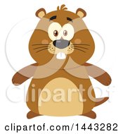 Flat Styled Groundhog Mascot