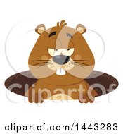 Flat Styled Sleepy Groundhog Mascot In A Hole
