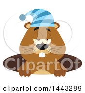 Flat Styled Sleepy Groundhog Mascot Wearing A Hat In A Hole