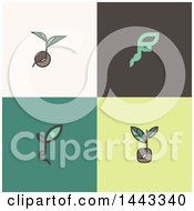 Poster, Art Print Of Seeds And Plant Leaves