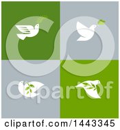 Poster, Art Print Of White Peace Doves Flying With Leaves And Branches On Gray And Green