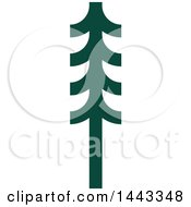 Poster, Art Print Of Green Evergreen Fir Tree
