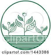 Poster, Art Print Of Green Flower Crops Logo Design