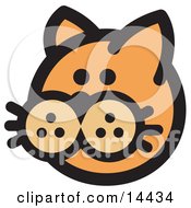 Cute Orange Cats Face