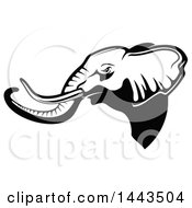 Poster, Art Print Of Black And White Profiled Elephant Mascot Head Logo