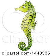 Poster, Art Print Of Gradient Green Sea Horse