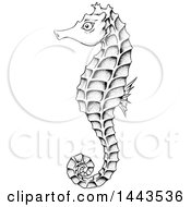 Clipart Of A Black And White Sea Horse With No White Fill Royalty Free Vector Illustration by cidepix