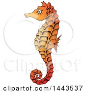 Poster, Art Print Of Gradient Orange Sea Horse