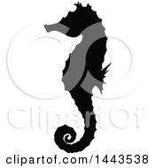 Poster, Art Print Of Black Silhouetted Sea Horse
