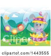 Poster, Art Print Of Gray Easter Bunny Rabbit In A Cracked Decorated Egg Shell In A Spring Landscape