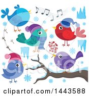 Clipart Of Colorful Winter Birds Royalty Free Vector Illustration