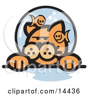 Poster, Art Print Of Grumpy Ginger Cat With Fish Making Fun Of Him In A Fishbowl Stuck On His Head