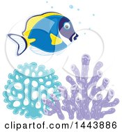 Poster, Art Print Of Powder Blue Tang Fish Over Corals