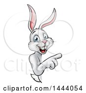 Clipart Of A Happy White Bunny Rabbit Pointing Around A Sign Royalty Free Vector Illustration