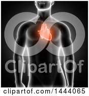 Poster, Art Print Of 3d Xray Man With Highlighted Red Heart On Black