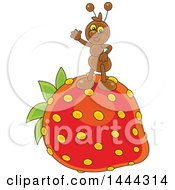 Poster, Art Print Of Cartoon Ant Waving And Standing On A Strawberry