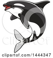 Clipart Of A Jumping Orca Killer Whale Royalty Free Vector Illustration by Vector Tradition SM