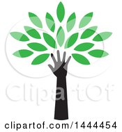 Poster, Art Print Of Tree With Green Leaves And A Hand Trunk