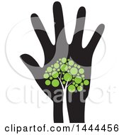 Poster, Art Print Of Tree With Green Leaves On A Hand