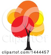 Poster, Art Print Of Tree With Colorful Autumn Foliage