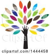 Poster, Art Print Of Tree With Colorful Leaves And An Arm
