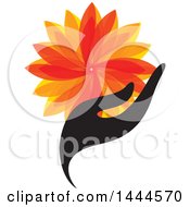 Poster, Art Print Of Hand Holding An Orange Flower Or Leaves