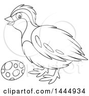 Poster, Art Print Of Cartoon Black And White Lineart Bird And Egg