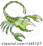 Poster, Art Print Of Sketched Green Astrology Zodiac Scorpio Scorpion