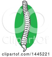 Clipart Of A Human Spine Over A Green Circle Royalty Free Vector Illustration