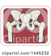 Retro Flat Styled Tan And Red Human Pelvis Medical Design