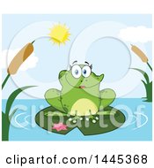 Poster, Art Print Of Cartoon Female Frog On A Lilypad