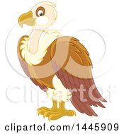 Poster, Art Print Of Vulture Bird