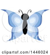 Poster, Art Print Of Blue Butterfly