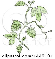 Poster, Art Print Of Sketched Styled Hop Plant