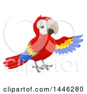 Scarlet Macaw Parrot Presenting With A Wing