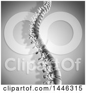 Clipart Of A 3d Grayscale Human Spine Royalty Free Illustration