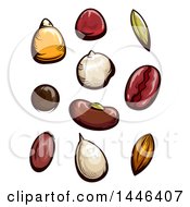 Poster, Art Print Of Fruit And Vegetable Seeds