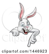Clipart Of A Cartoon Happy White Bunny Rabbit Pointing Down Over A Sign Royalty Free Vector Illustration