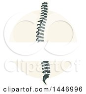 Clipart Of A Human Spine With Text Space Royalty Free Vector Illustration