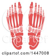 Human Foot With Visible Bones