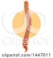 Clipart Of A Human Spine Royalty Free Vector Illustration