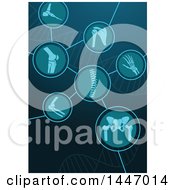 Poster, Art Print Of Chart With A Human Foot Shoulder Knee Wrist Spine Elbow And Pelvis