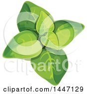 Clipart Of A Marjoram Plant Royalty Free Vector Illustration